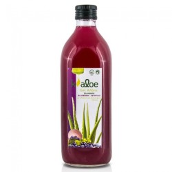 Kaloe Gel Αλόης Blueberry Μύρτιλο 1000ml