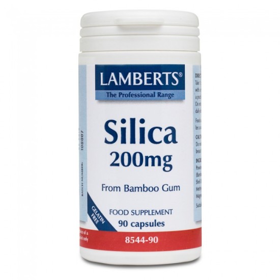 Lamberts Silica 90caps